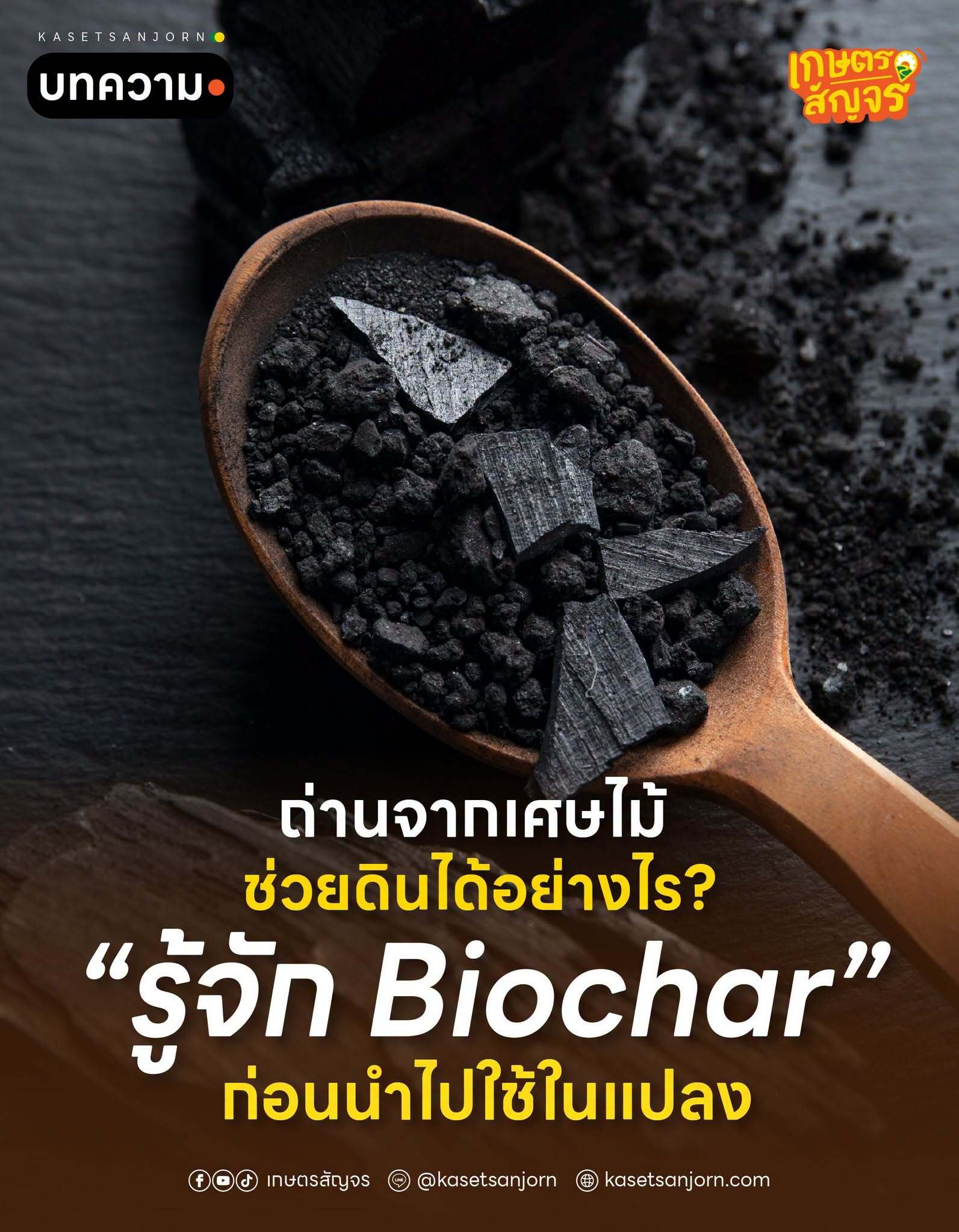 ถ่านจากเศษไม้ ช่วยดินได้อย่างไร? รู้จัก Biochar ก่อนนำไปใช้ในแปลง