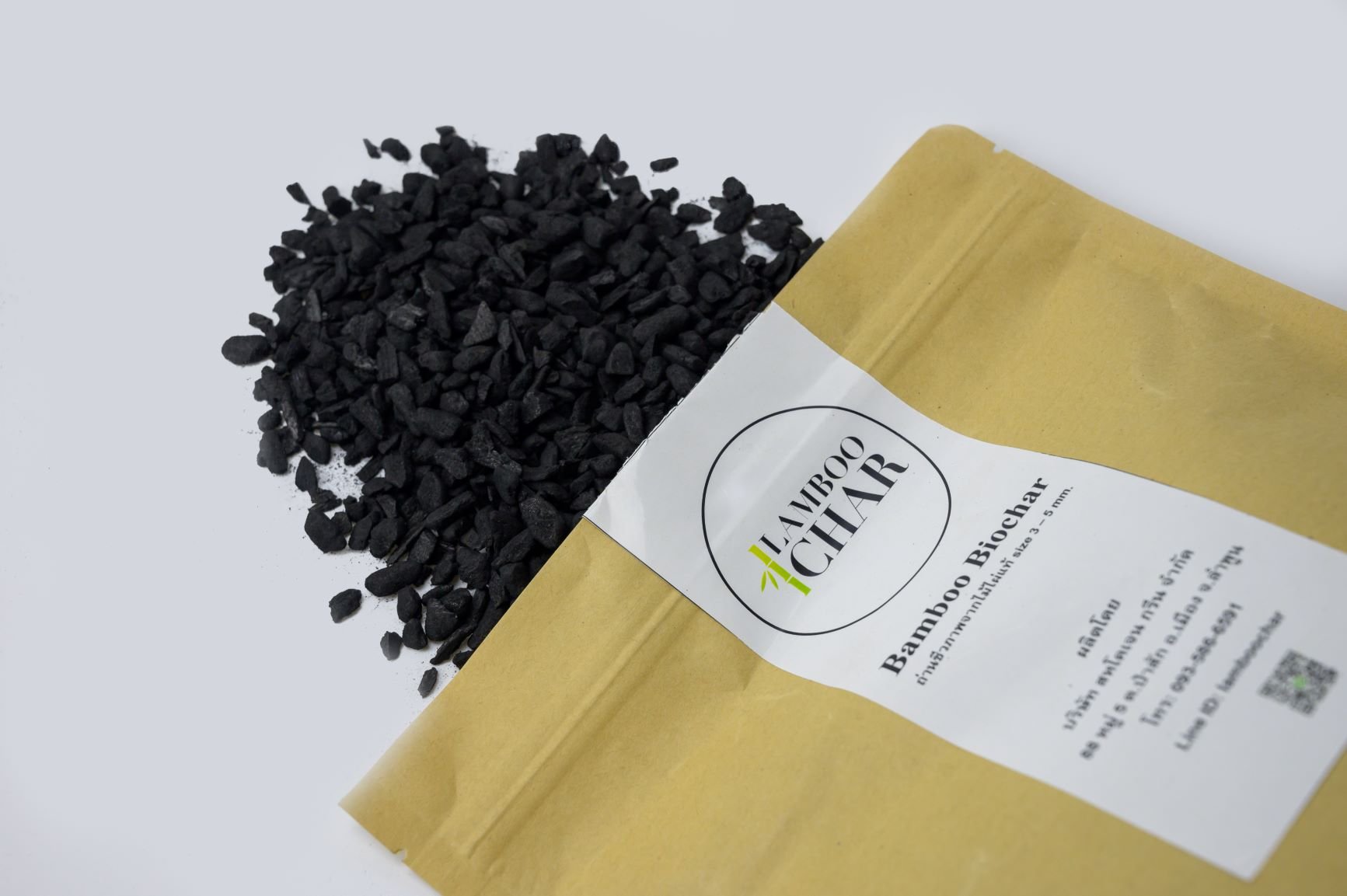 Biochar นวัตกรรมกักเก็บคาร์บอนที่น่าจับตามอง