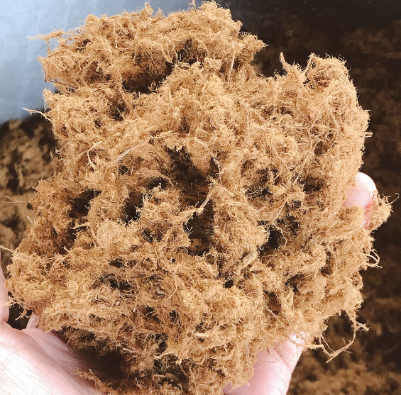 กระบวนการระเบิดด้วยไอน้ำ กระบวนการระเบิดด้วยไอน้ำ