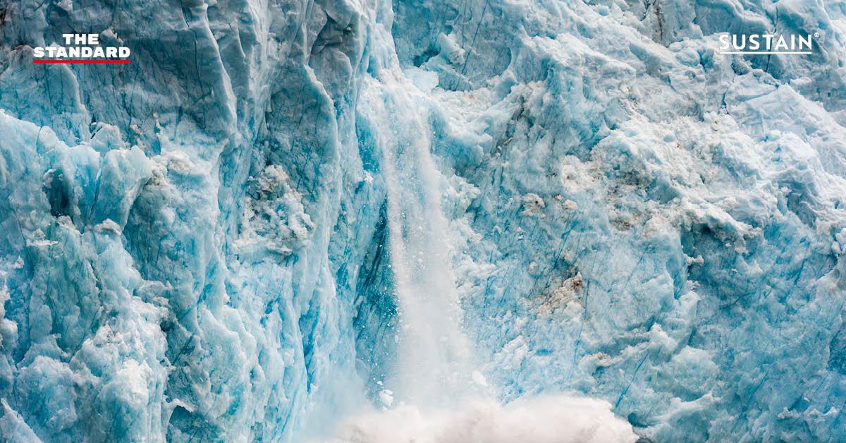 ทุกๆ 1 ชั่วโมง น้ำแข็งกรีนแลนด์จะละลายตัว 30 ล้านตัน ผลพวงจากโลกรวนที่น่าวิตก