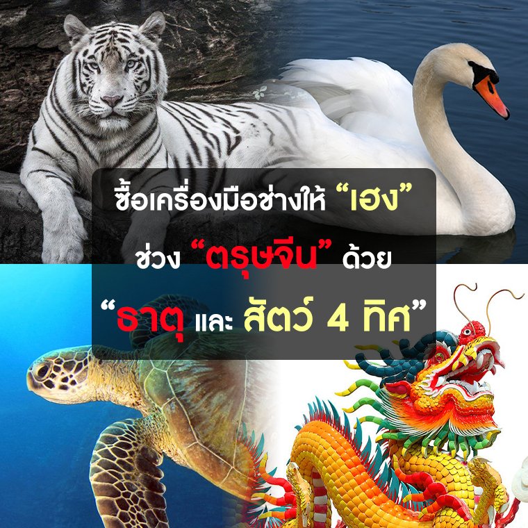 เลือกเครื่องมือช่างให้ รวย ด้วยธาตุสัตว์ 4 ทิศ: วิธีการเลือกเครื่องมือช่างตามหลักฮวงจุ้ย