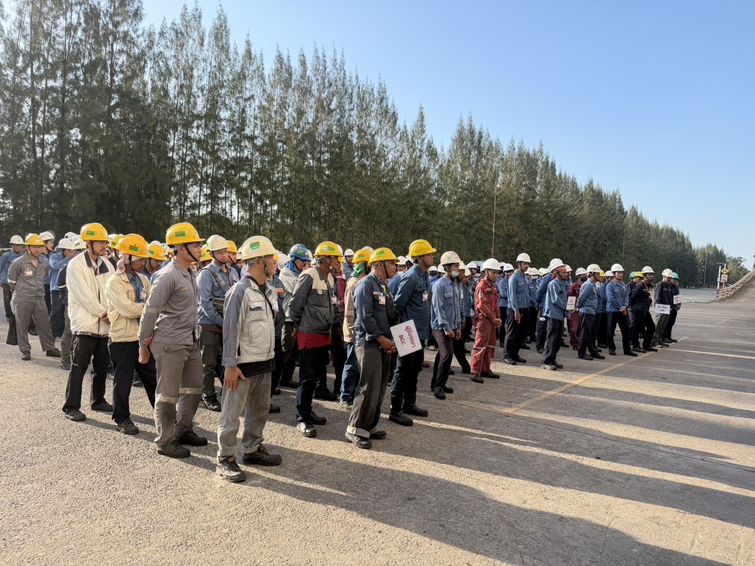 Manpower and Tools Supply for Sahavisiya Steel Industries PLC