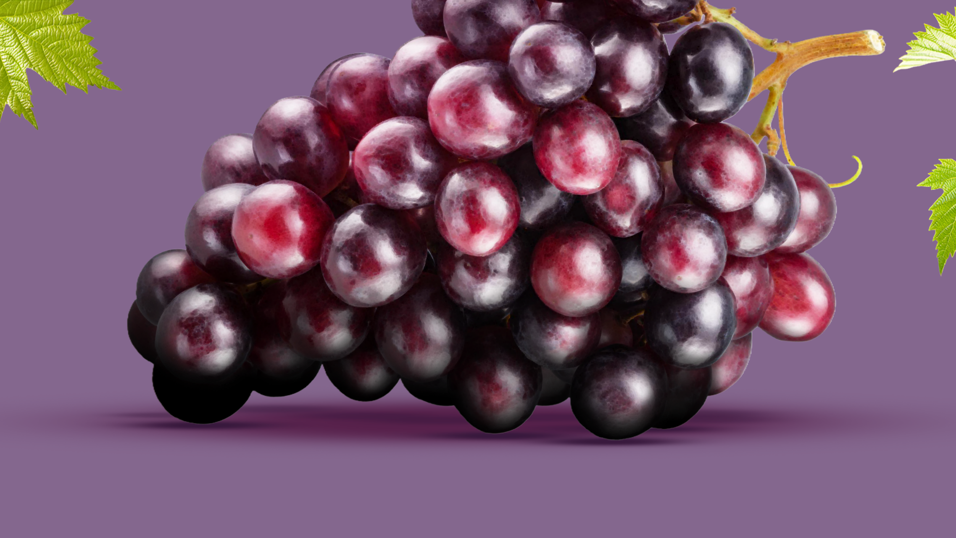 Grape Seed Extract (สารสกัดจากเมล็ดองุ่น)