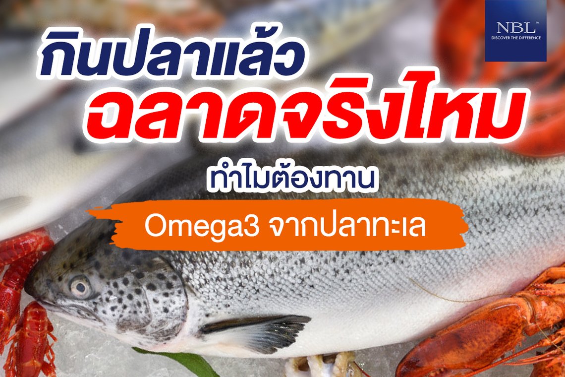 กินปลาแล้วฉลาดจริงไหม ทำไมต้องทาน Omega3 จากปลาทะเล