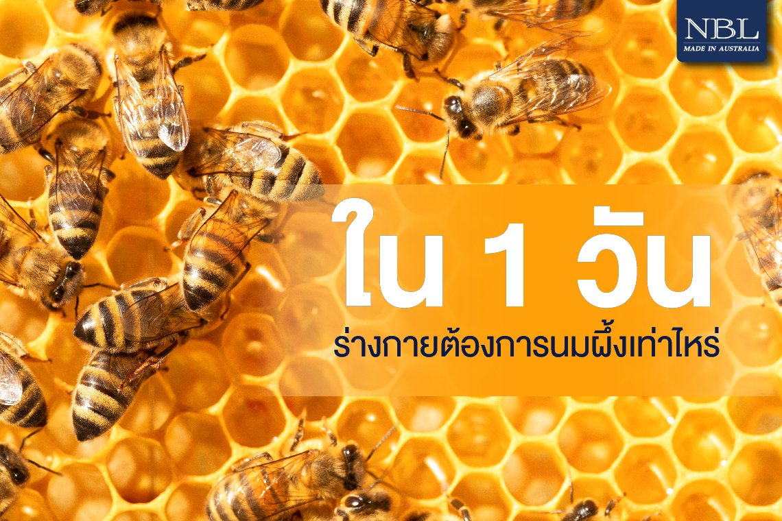 ใน 1 วัน ร่างกายต้องการนมผึ้งมากเท่าไหร่