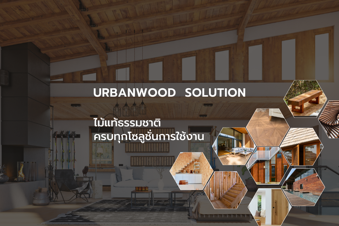 wood solution wood solution