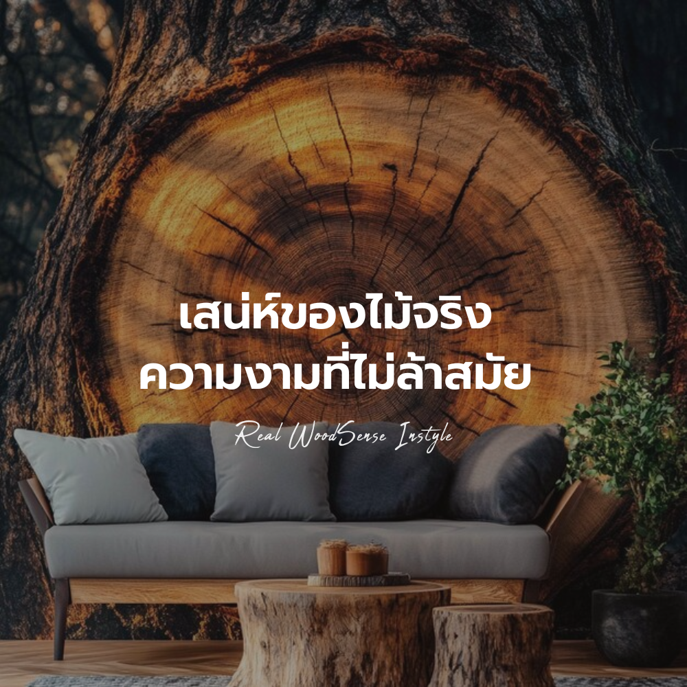 เสน่ห์ไม้จริง เสน่ห์ไม้จริง