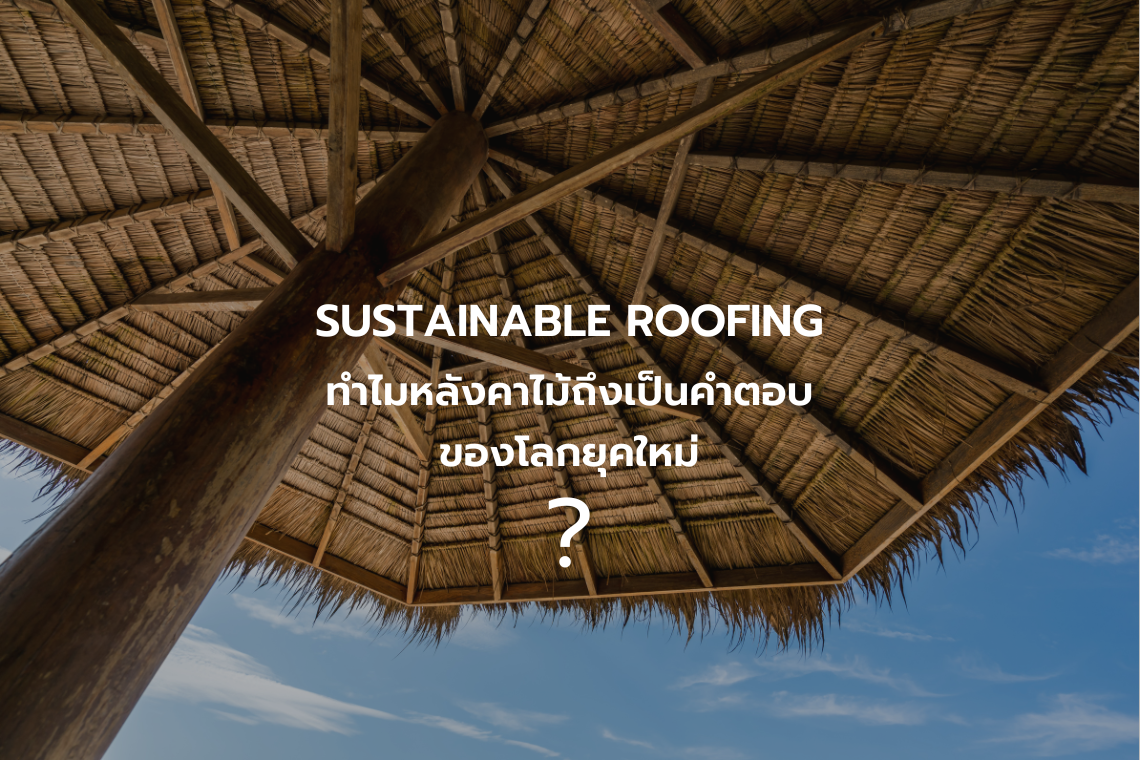 Sustainable Roofing : ทำไมหลังคาไม้ถึงเป็นคำตอบของโลกยุคใหม่ ?