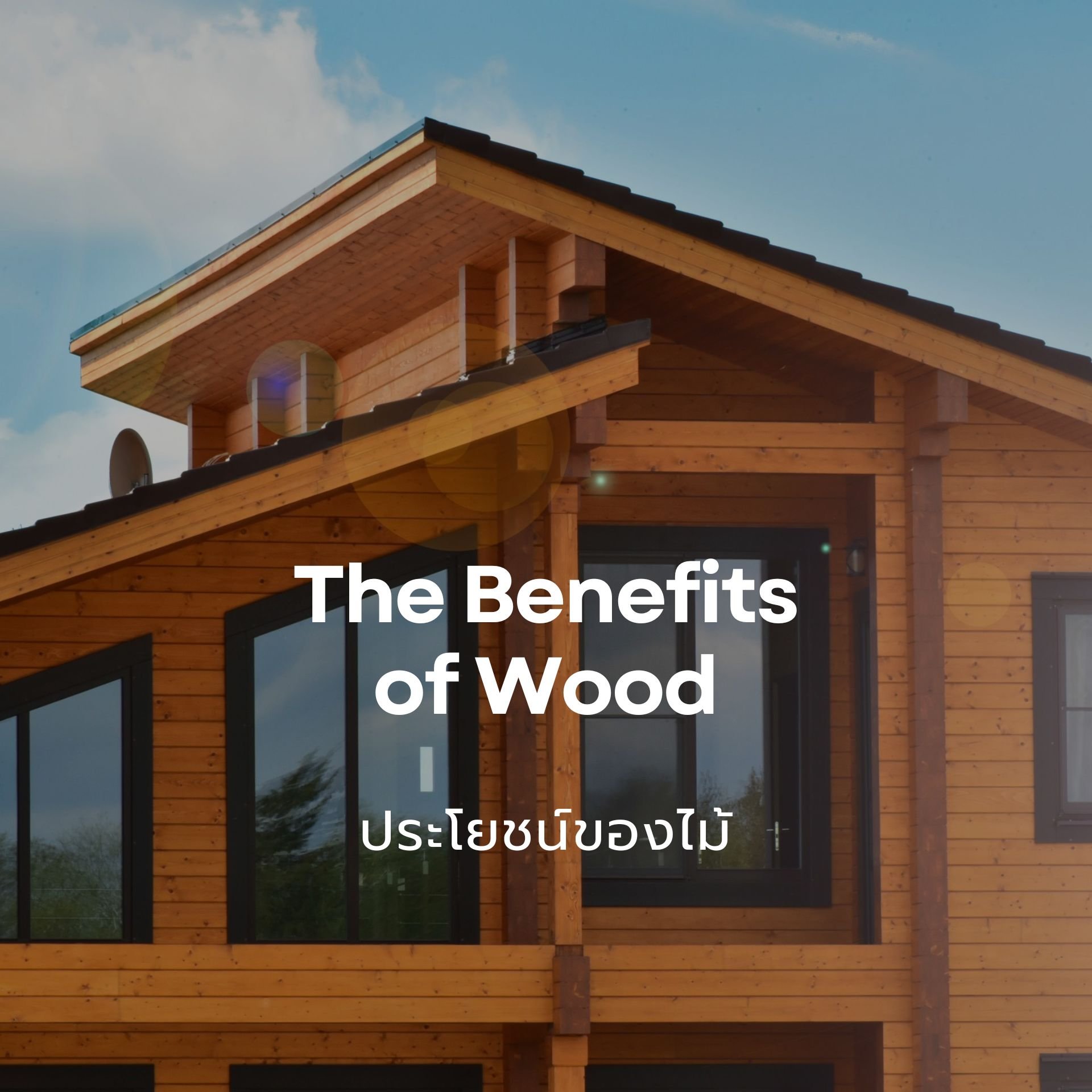 The Benefits of Wood  ประโยชน์ของไม้ The Benefits of Wood  ประโยชน์ของไม้