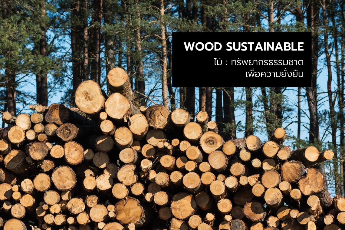 wood sustainable : ไม้ทรัพยากรธรรมชาติเพื่อความยั่งยืน wood sustainable : ไม้ทรัพยากรธรรมชาติเพื่อความยั่งยืน