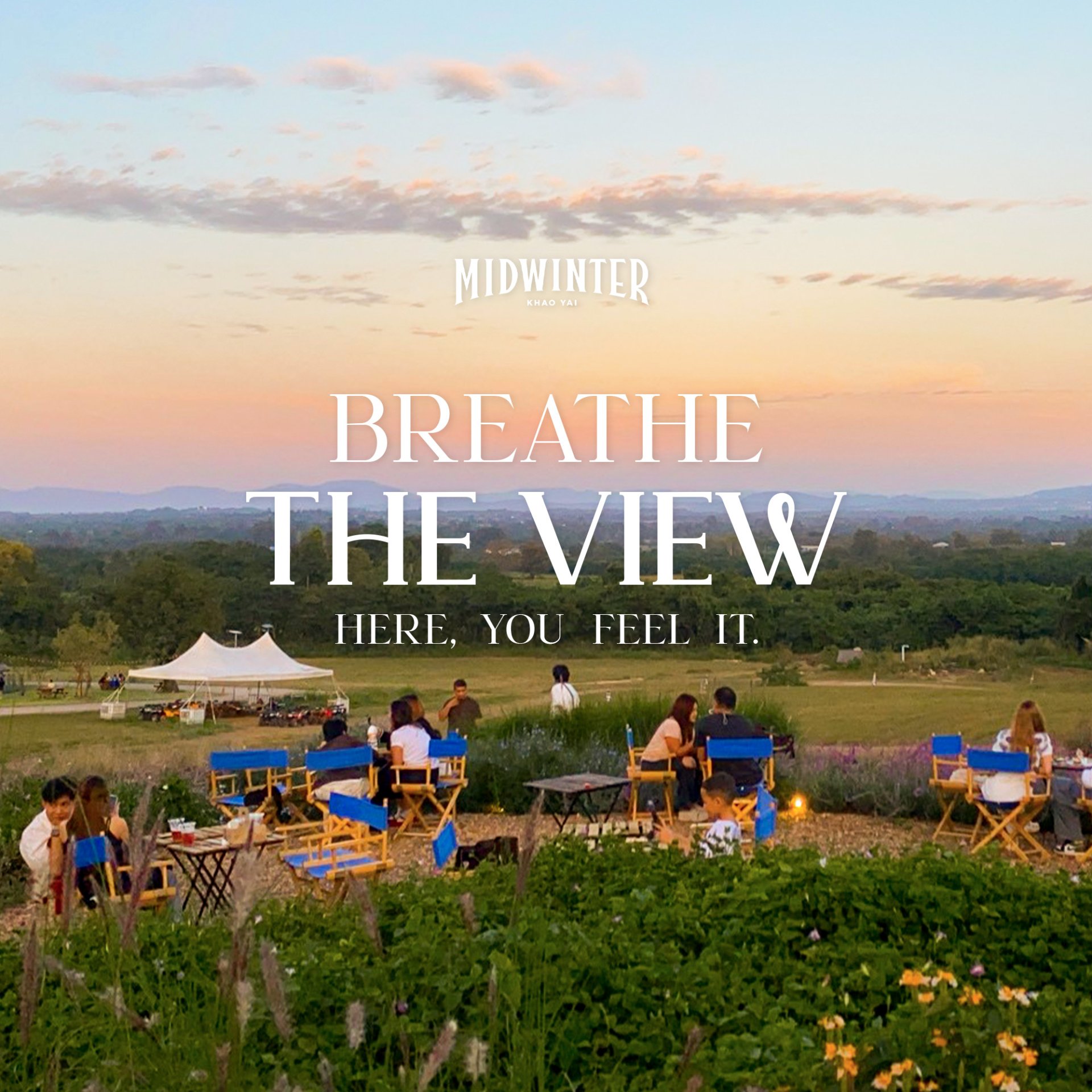 Come up to Midwinter Terrace and youll understand...