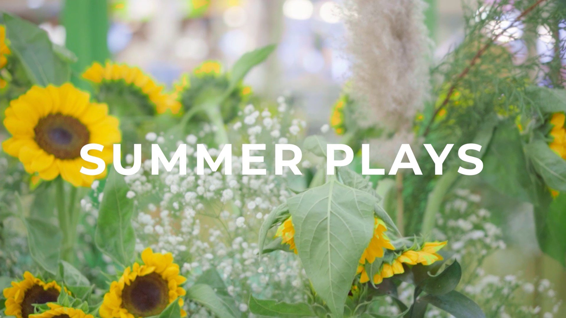 Summer Play @Central Plaza Chiang Mai Airport Summer Play @Central Plaza Chiang Mai Airport