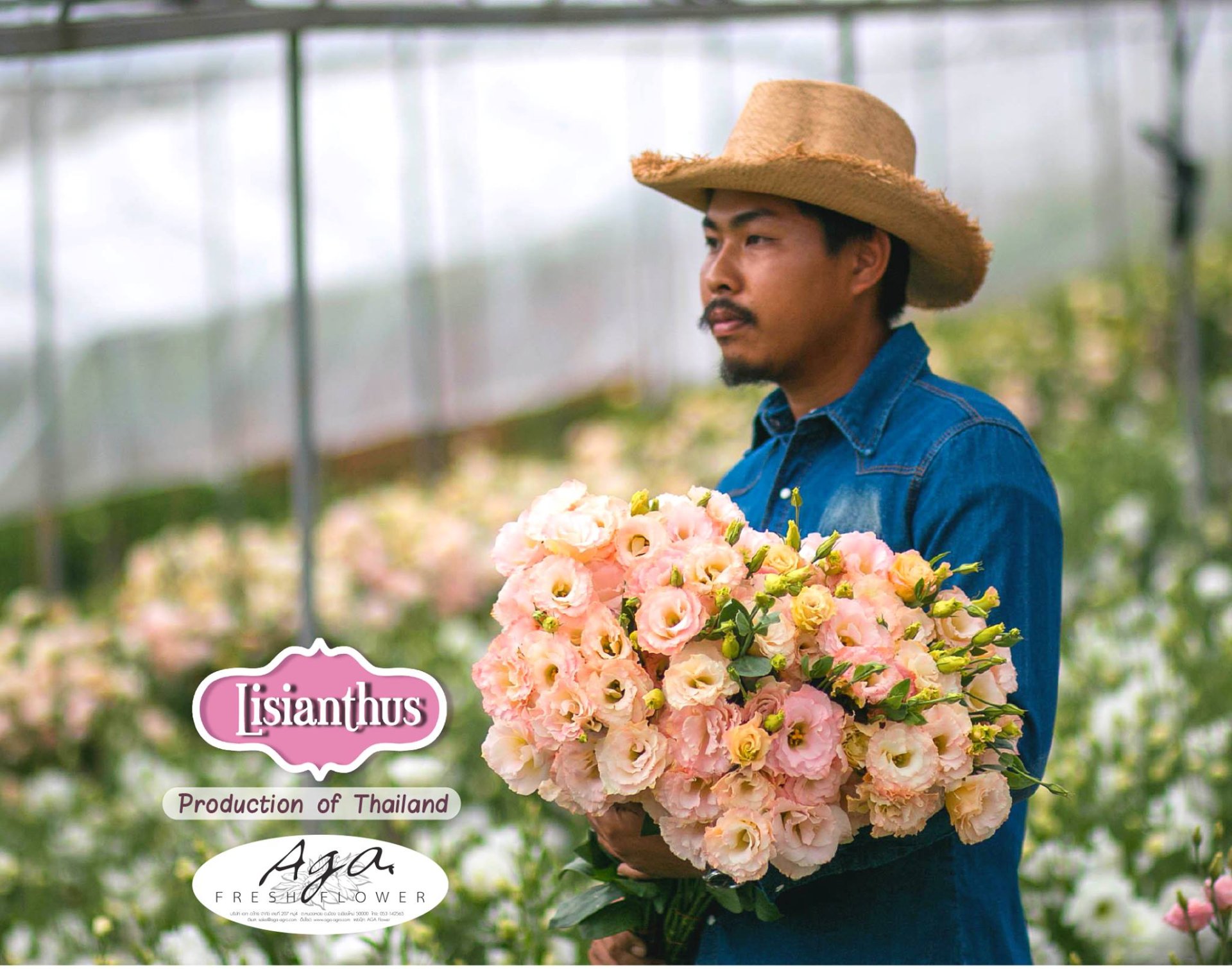 แนะนำดอกไม้ : ดอก "ลิซิแอนทัส Lisianthus" แนะนำดอกไม้ : ดอก "ลิซิแอนทัส Lisianthus"