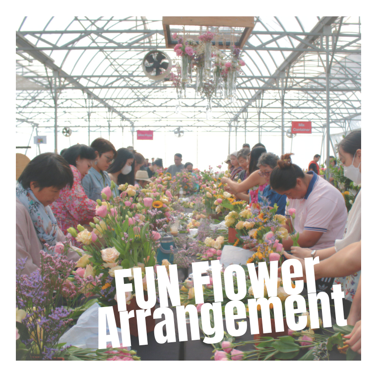 FUN Flower Arrangement - Fun Garden 2024 FUN Flower Arrangement - Fun Garden 2024