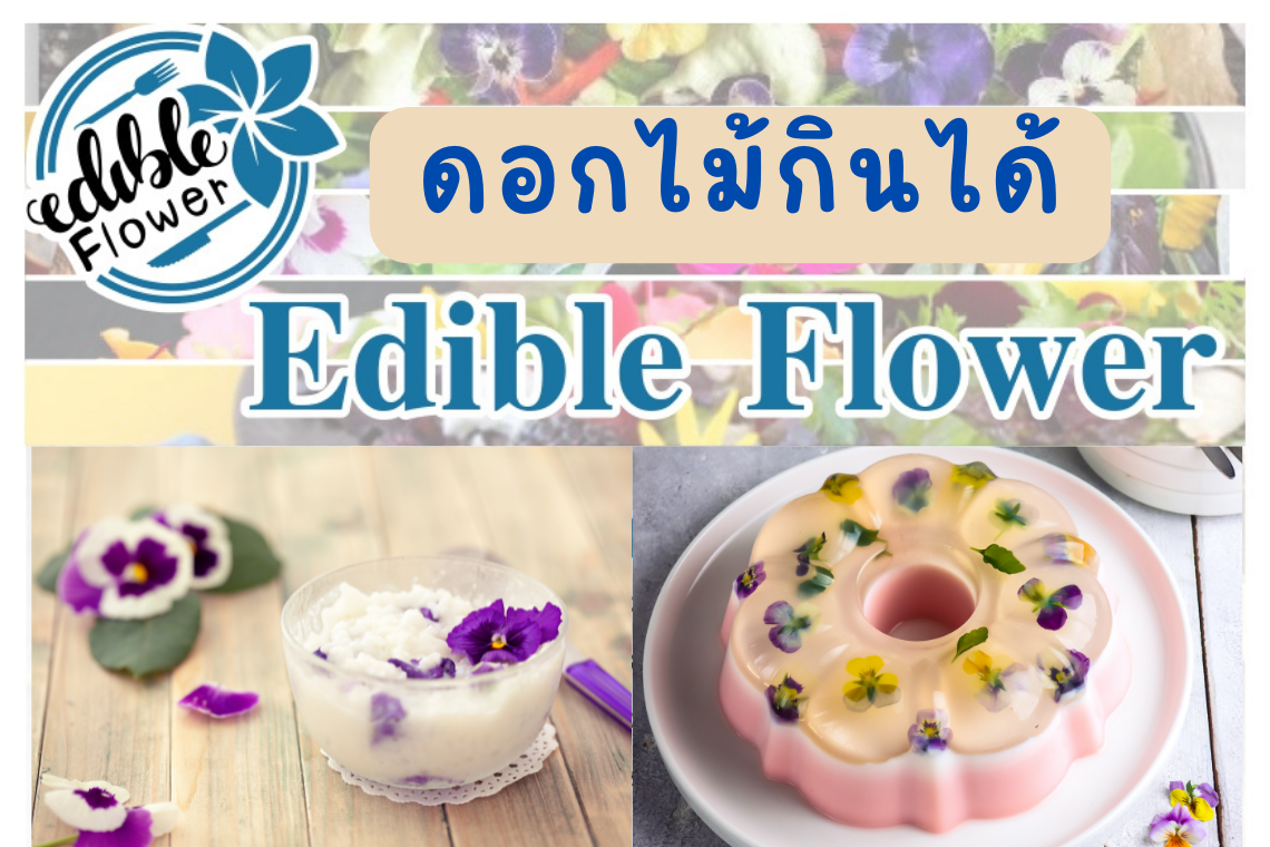 ดอกไม้กินได้ ดอกไม้กินได้