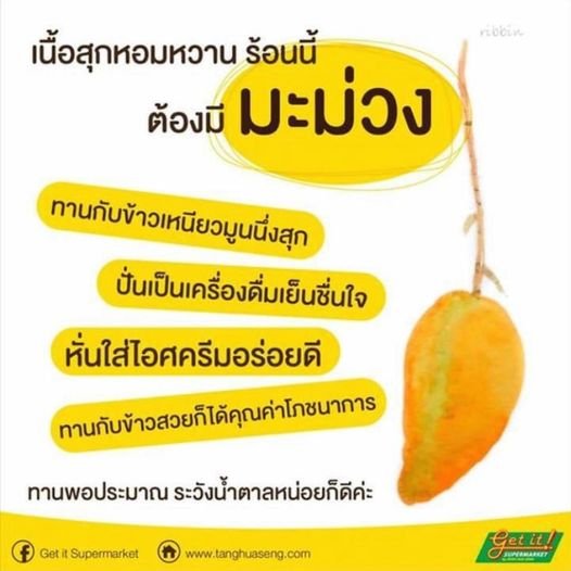 มะม่วง Mango
