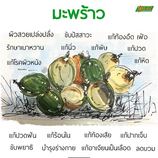 มะพร้าว Coconut 