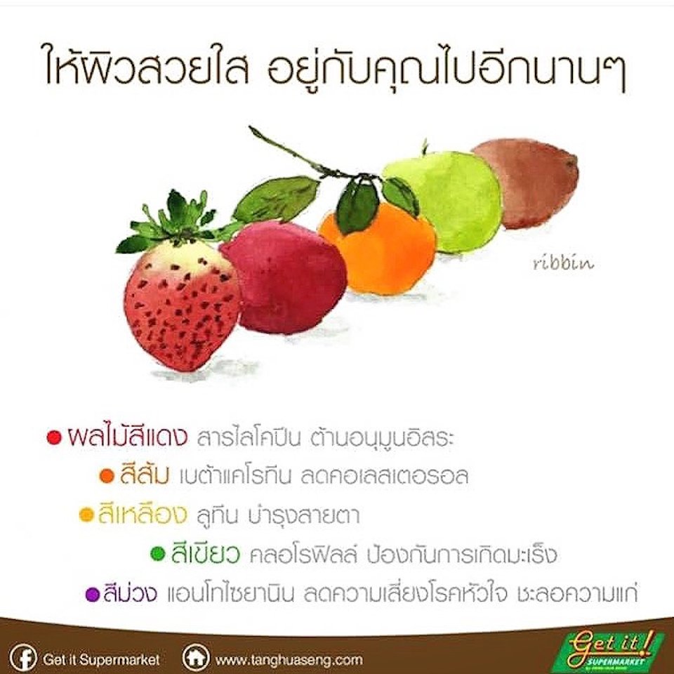  สารพฤกษเคมี 