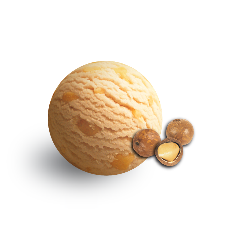 Macadamia Nuts 6 Liter Tub (3,600 g.)
