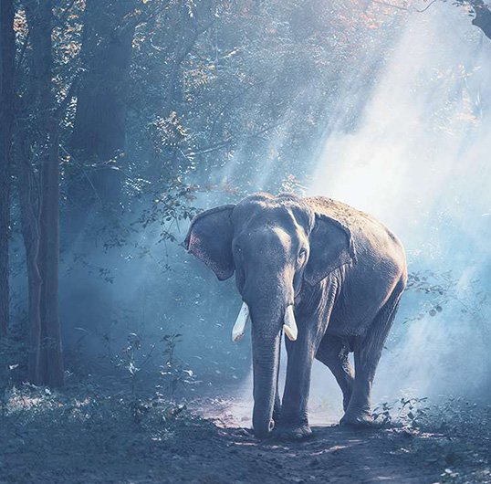 Nature and Amazing 2017 Travel Adventures   Nature and Amazing 2017 Travel Adventures