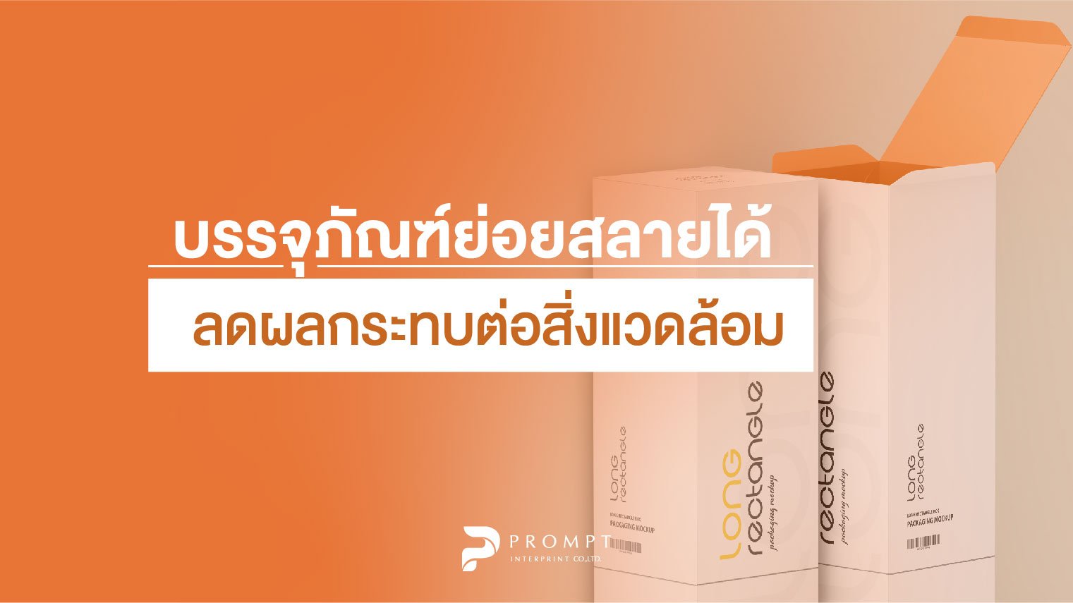 บรรจุภัณฑ์ย่อยสลายได้ลดผลกระทบต่อสิ่งแวดล้อม