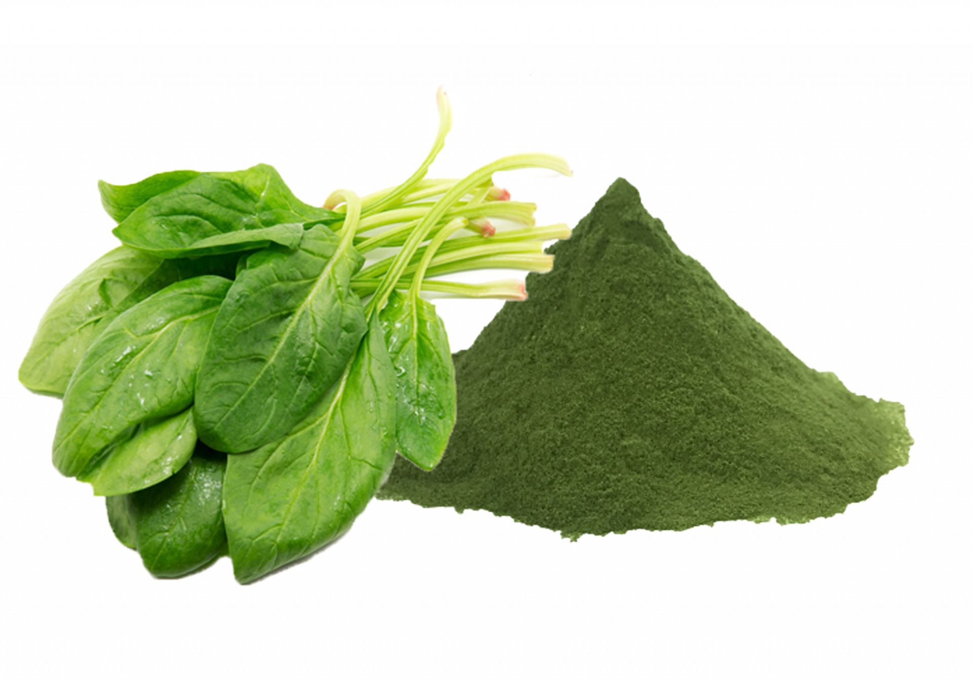 Dry spinach