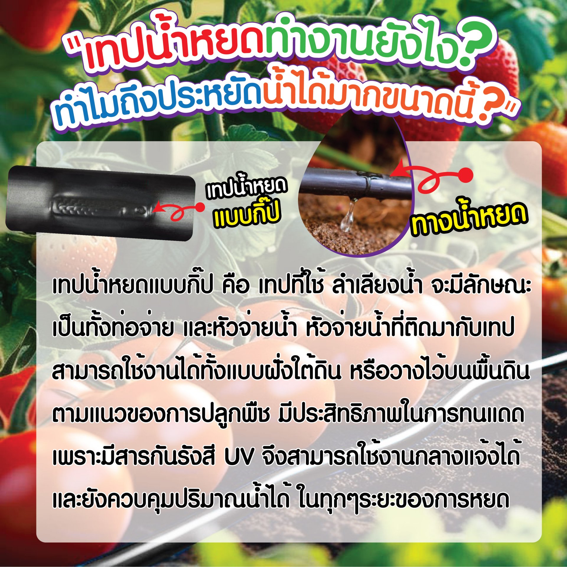 เทปน้ำหยดทำงานยังไง เทปน้ำหยดทำงานยังไง