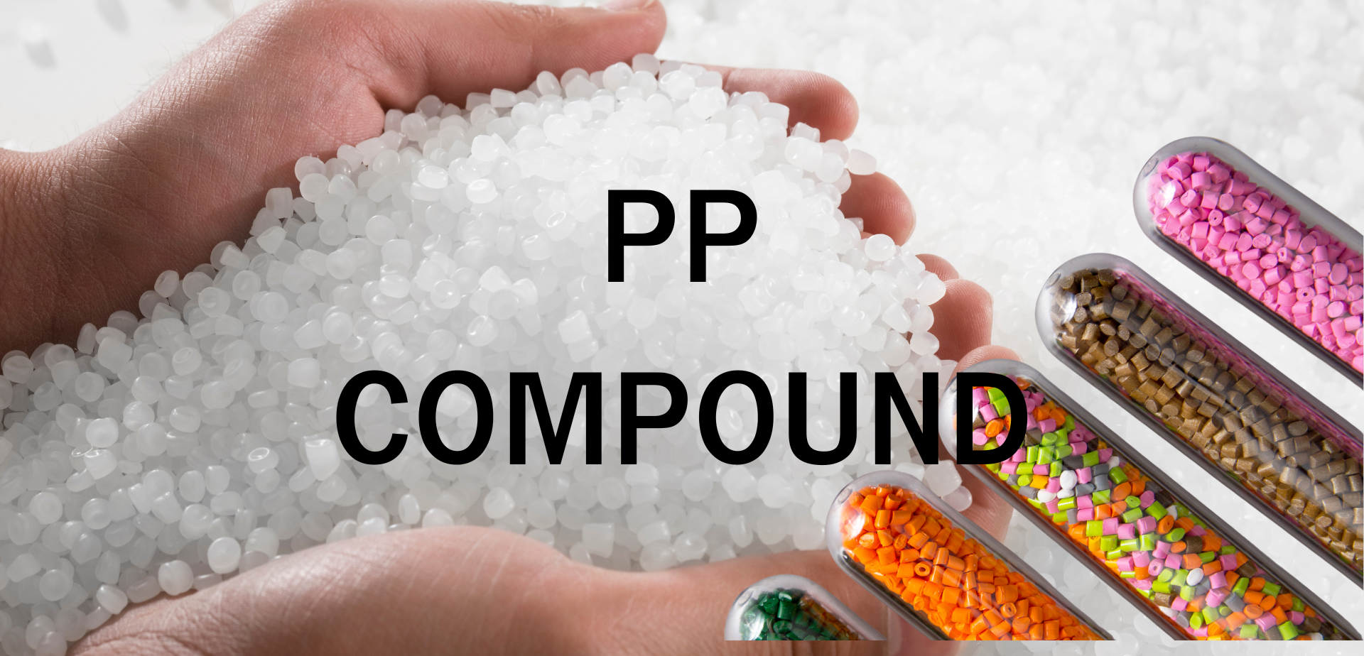 tns-nissho - tns-nissho