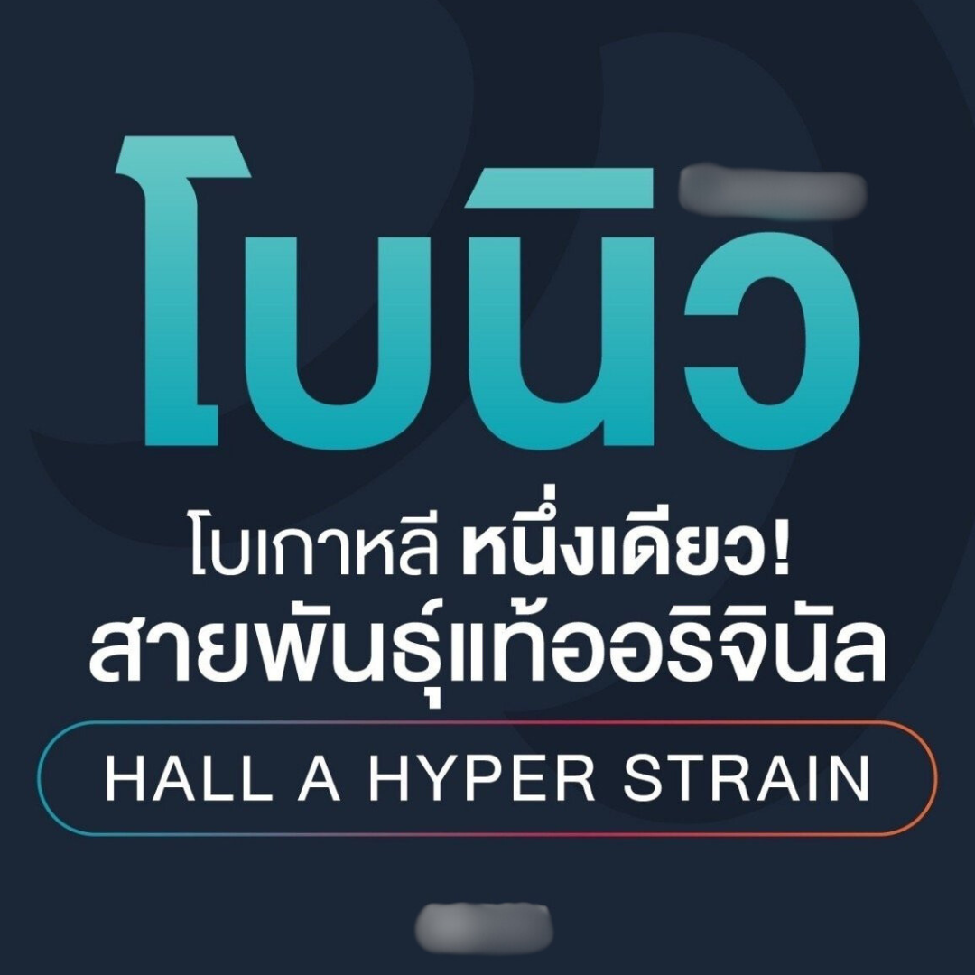 โบนิว ดีไหม? อยู่ได้นานไหม?