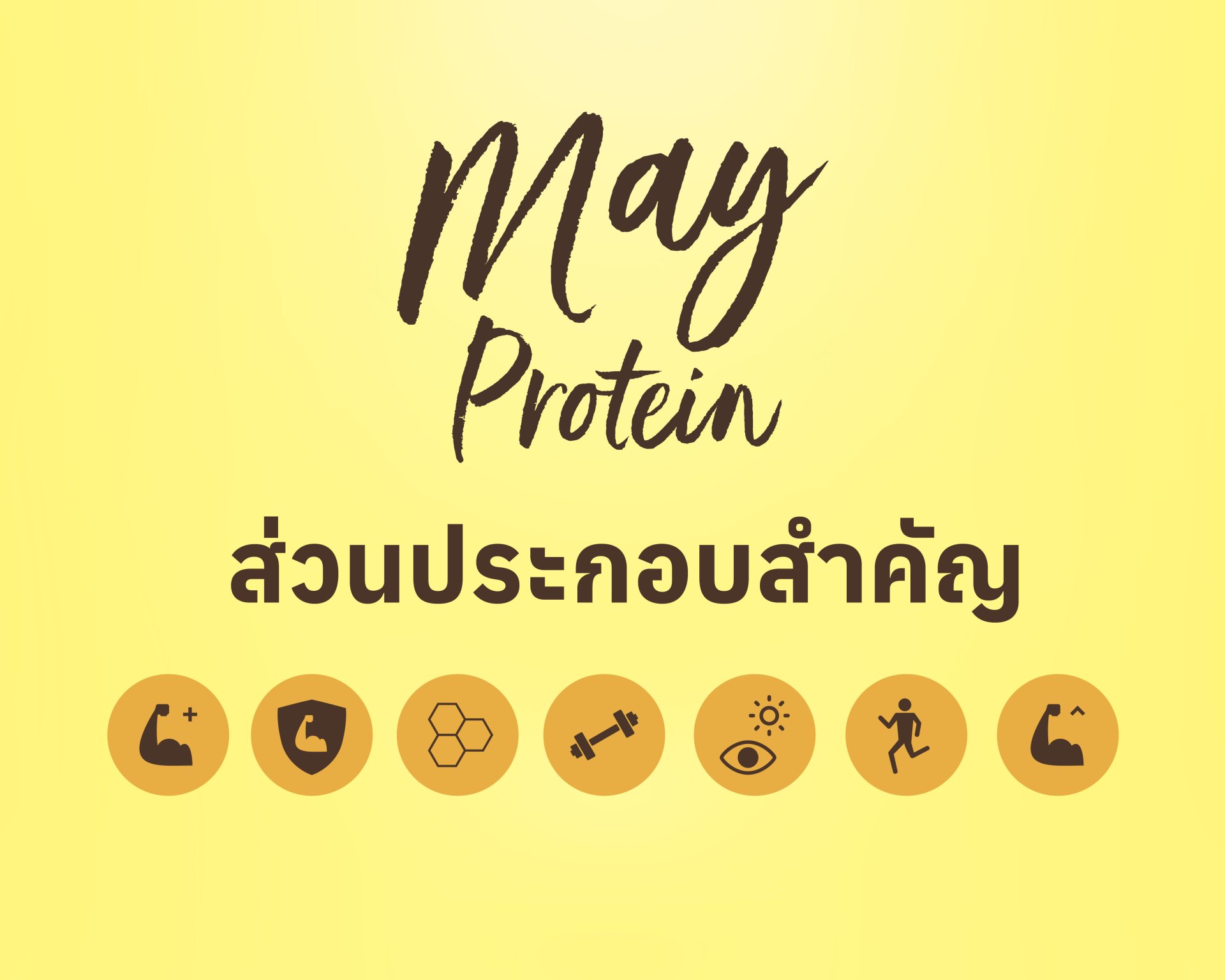 ใน MayProtein มีอะไรบ้าง