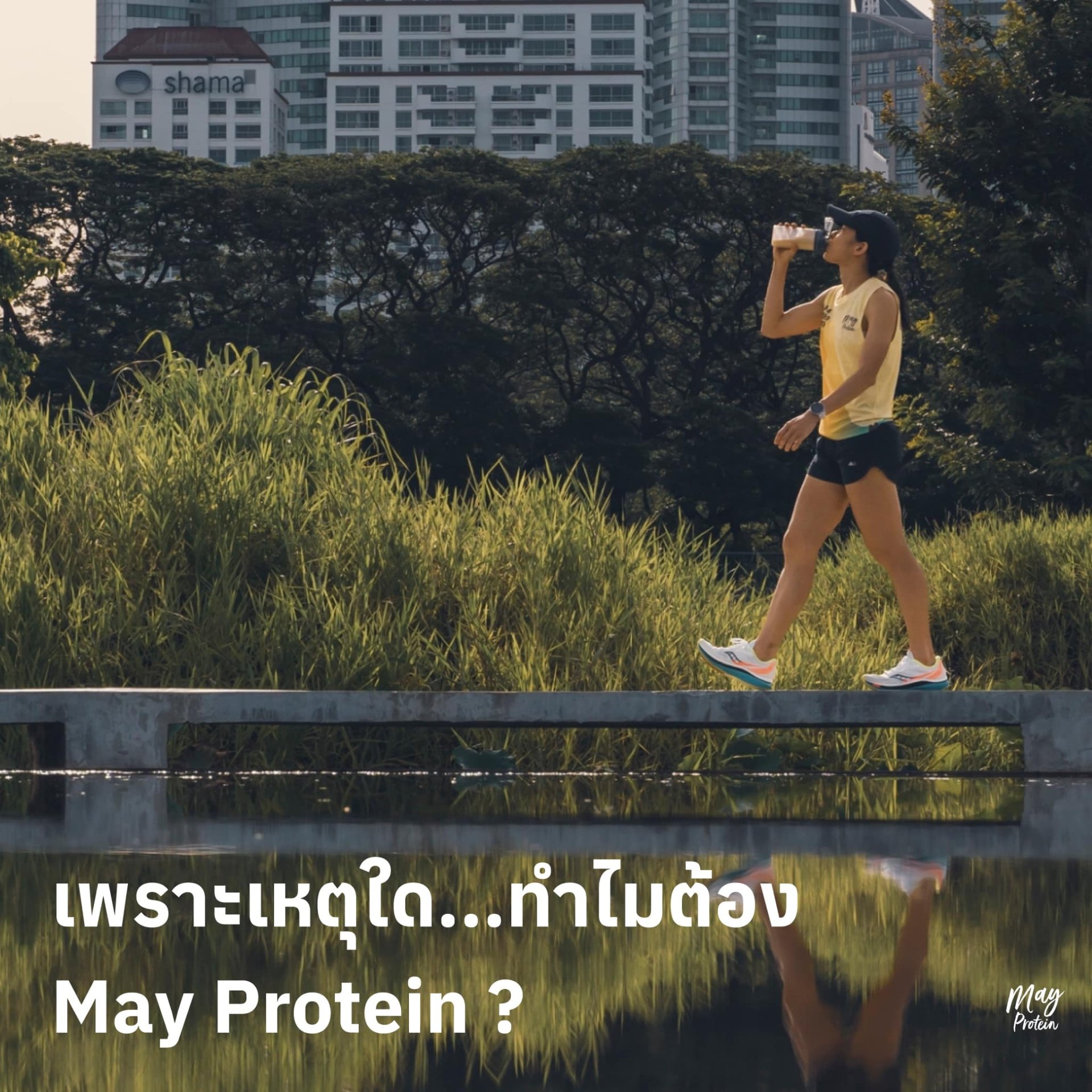 เพราะเหตุใด...ทำไมต้อง May Protein ?