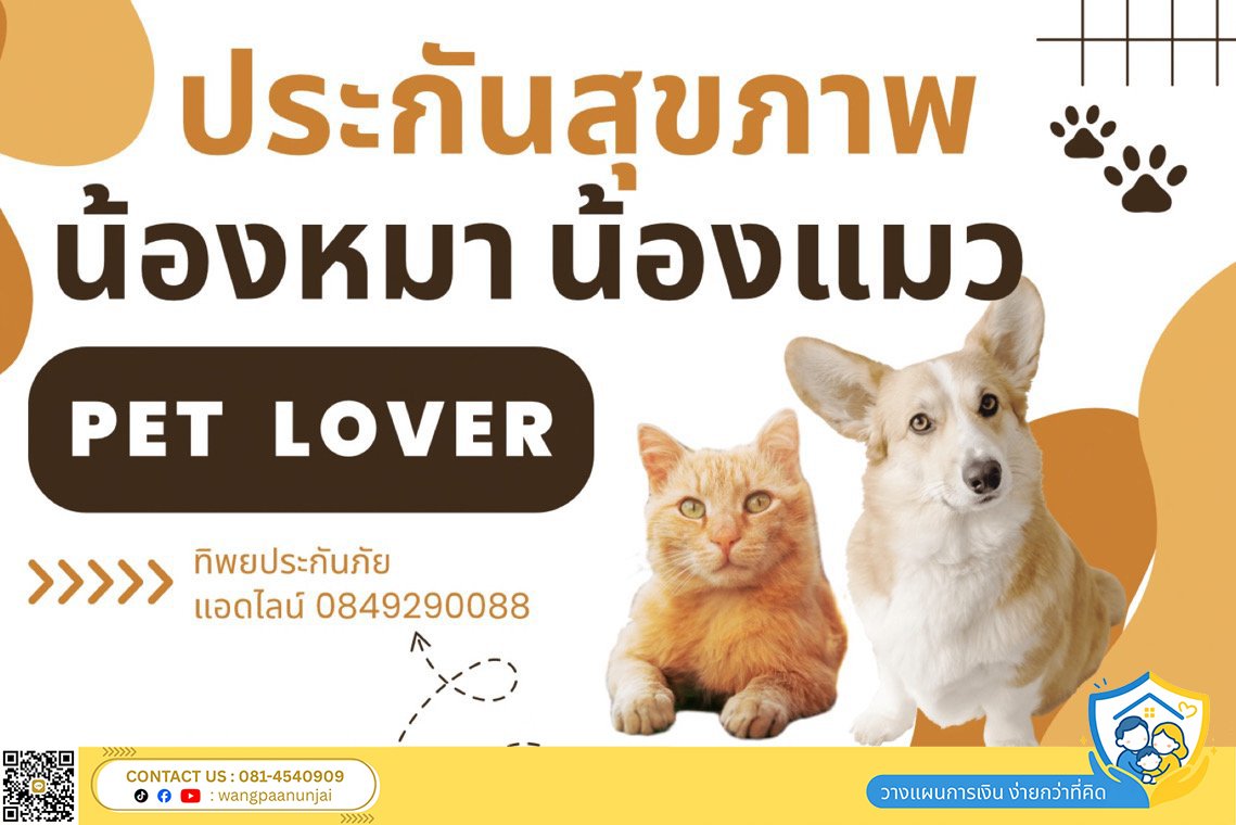 ประกันสุขภาพหมาแมว คุ้มครองค่ารักษาพยาบาลจากเจ็บป่วยและอุบัติเหตุ