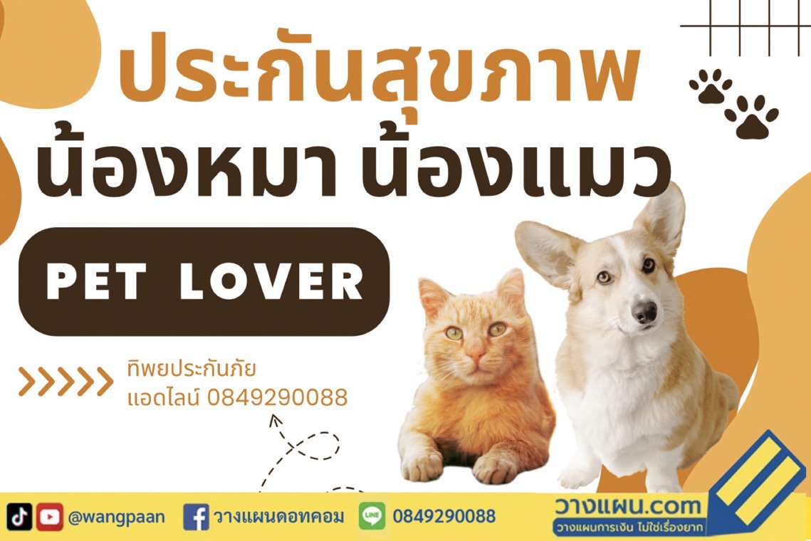 ประกันหมาแมว ประกันหมาแมว