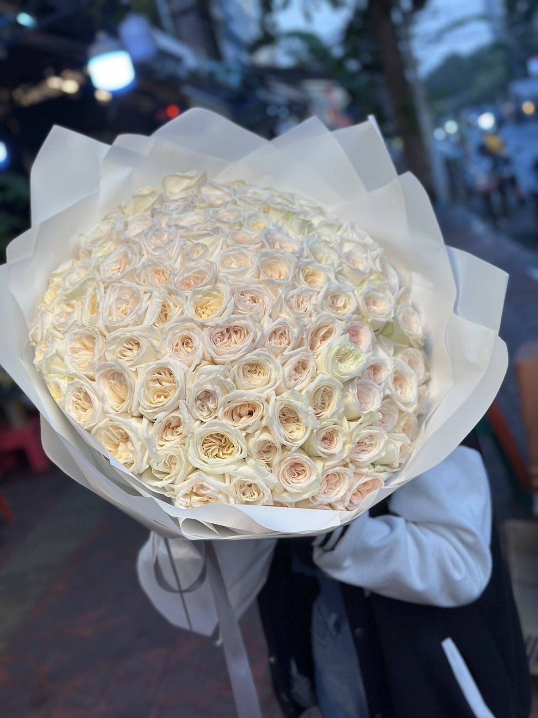 100 English White Roses
