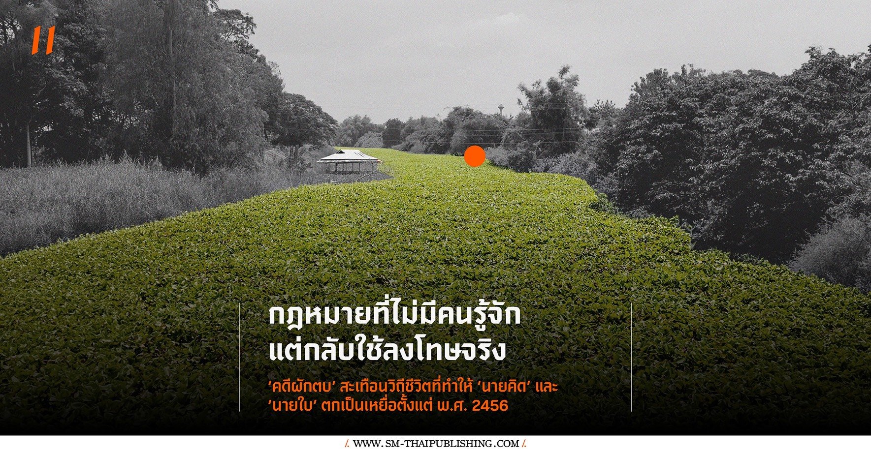 กฎหมายที่ไม่มีคนรู้จัก แต่กลับใช้ลงโทษจริง | คดีผักตบชวา