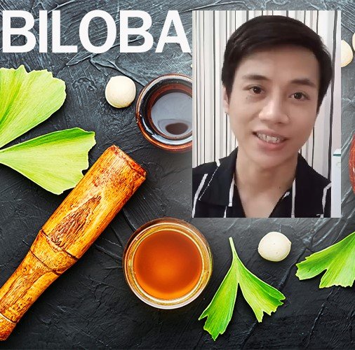 ปลาหมอ Ep.1 Biloba กับคุณประโยชน์ 7 ประการ ปลาหมอ Ep.1 Biloba กับคุณประโยชน์ 7 ประการ