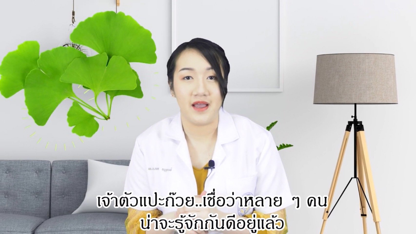 หมอพลอยใส Ep.4 แปะก๊วย Ginkgo Biloba บำรุงสมอง ฟื้นฟูความจำ  หมอพลอยใส Ep.4 แปะก๊วย Ginkgo Biloba บำรุงสมอง ฟื้นฟูความจำ