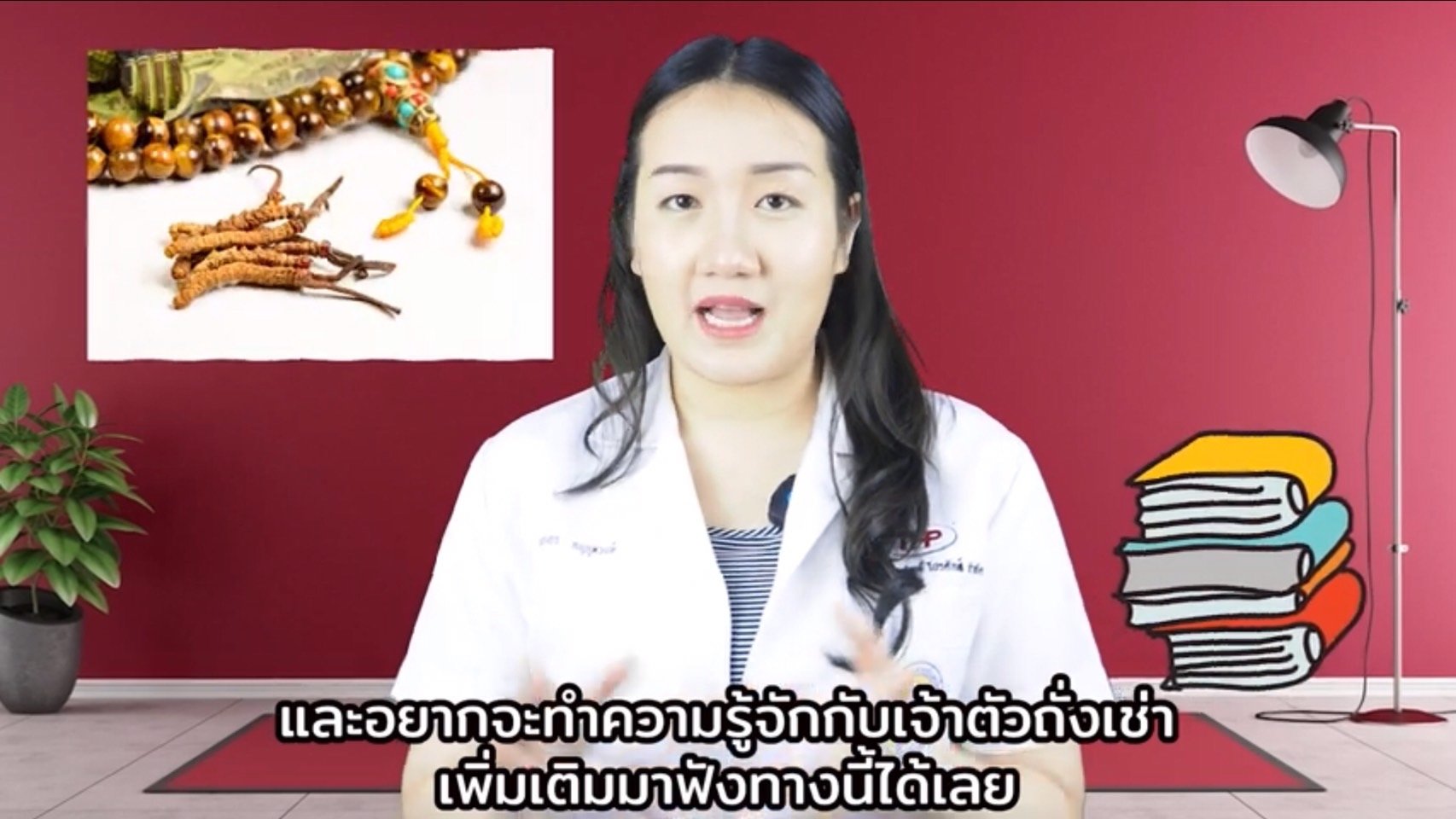 หมอพลอยใส Ep.6 ถั่งเช่า Cordyceps หมอพลอยใส Ep.6 ถั่งเช่า Cordyceps