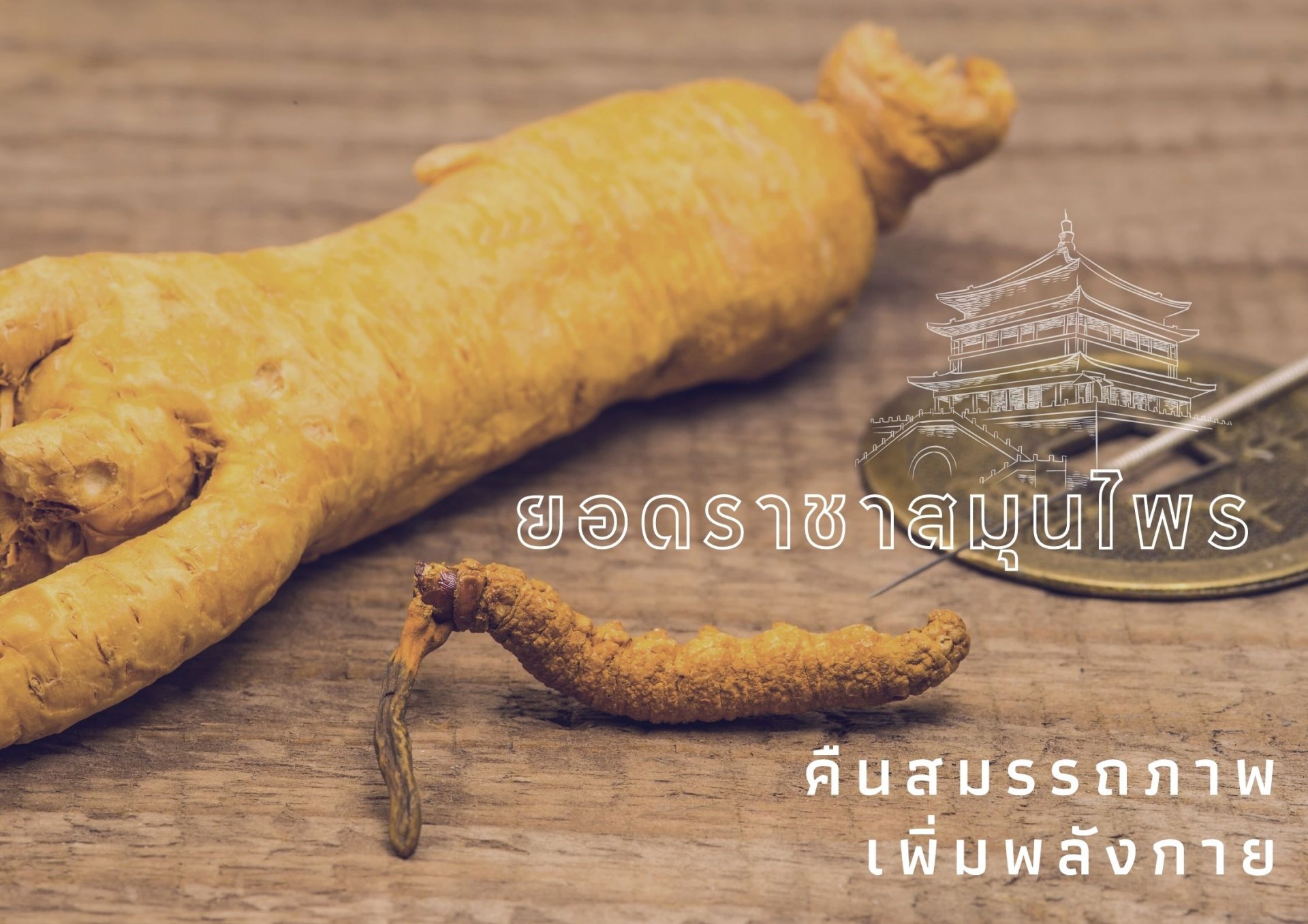 ยอดราชาสมุนไพร คืนสมรรถภาพ เพิ่มพลังกาย ยอดราชาสมุนไพร คืนสมรรถภาพ เพิ่มพลังกาย
