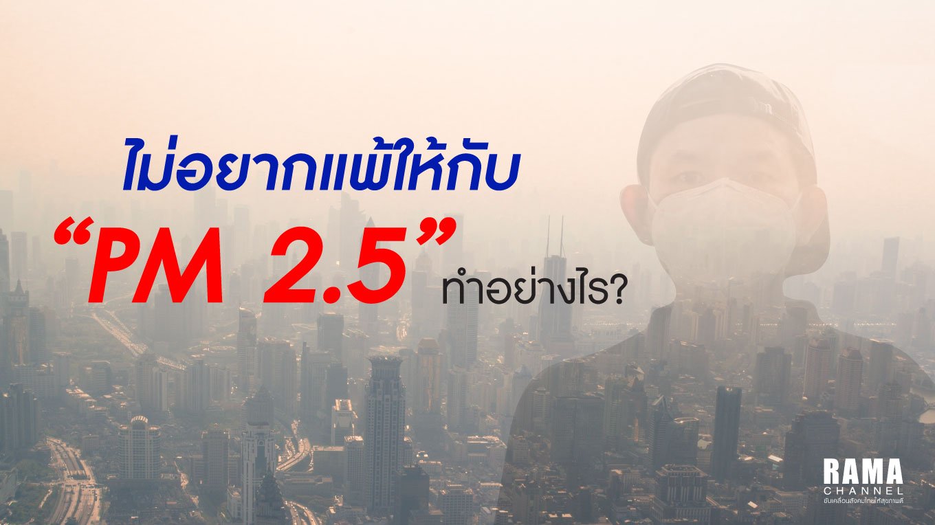 ไม่อยากแพ้ให้กับ PM 2.5 ทำอย่างไร