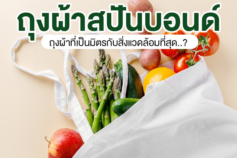 ถุงผ้าสปันบอนด์ ถุงผ้าที่เป็นมิตรกับสิ่งแวดล้อมที่สุด..?