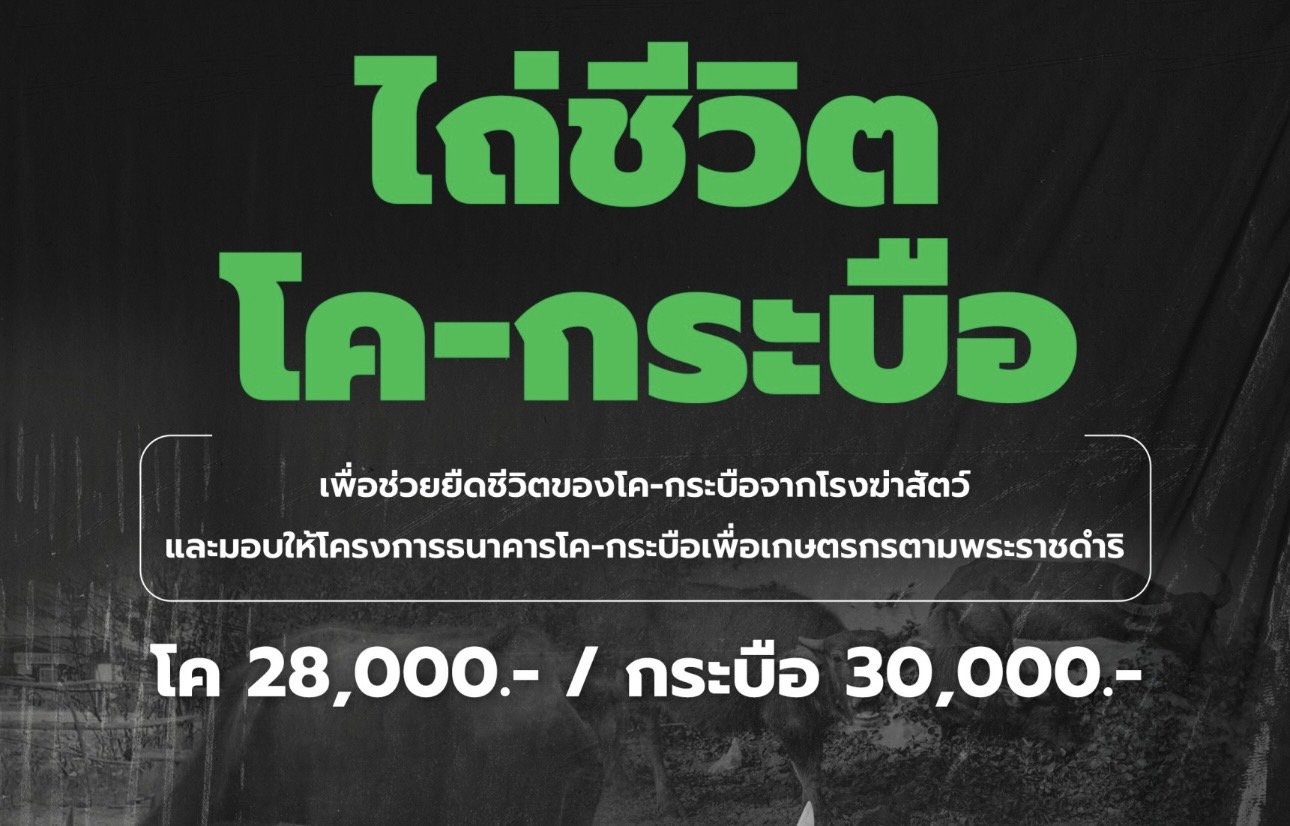 ไถ่ชีวิต โค-กระบือ โครงการธนาคารโค-กระบือเพื่อเกษตรกรตามพระราชดำริ ไถ่ชีวิต โค-กระบือ โครงการธนาคารโค-กระบือเพื่อเกษตรกรตามพระราชดำริ