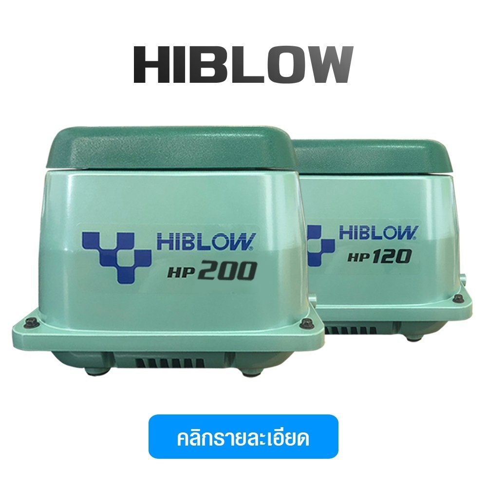 hiblow