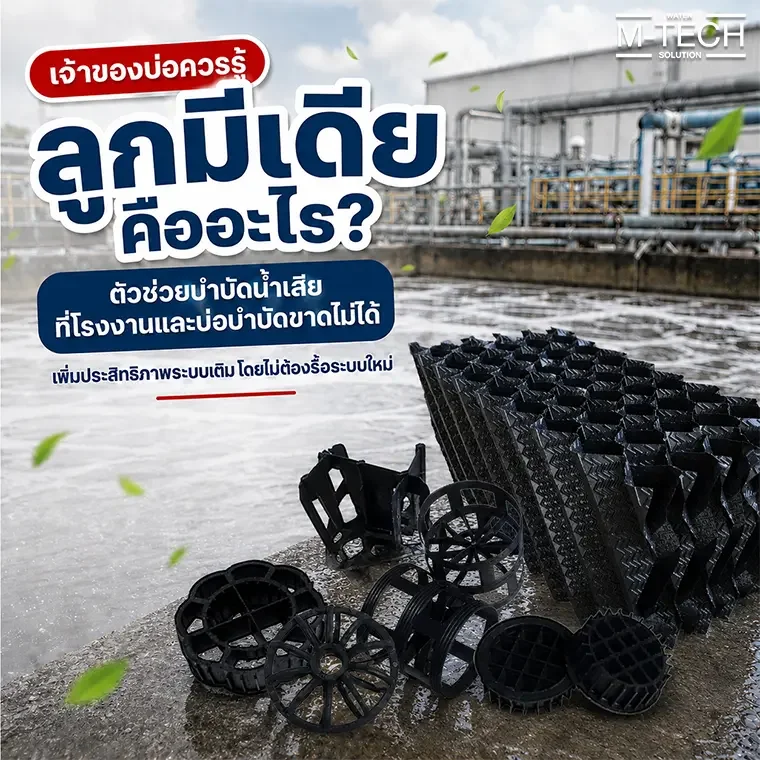 ลูกมีเดียในบ่อบำบัดน้ำเสียสำหรับเพิ่มพื้นที่จุลินทรีย์ในระบบบำบัดน้ำเสียชีวภาพ