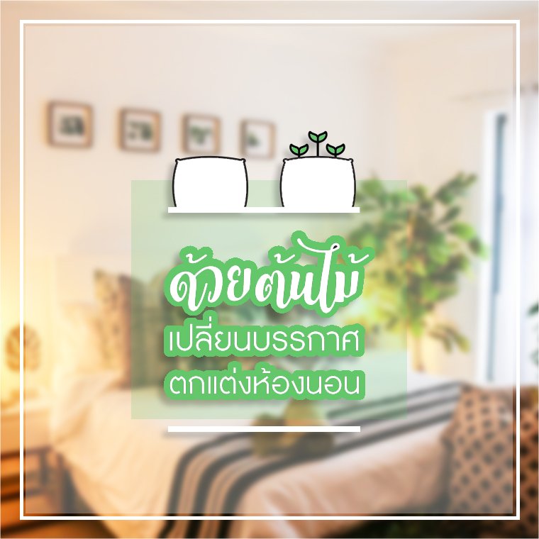 ตกแต่งห้องนอนด้วยต้นไม้