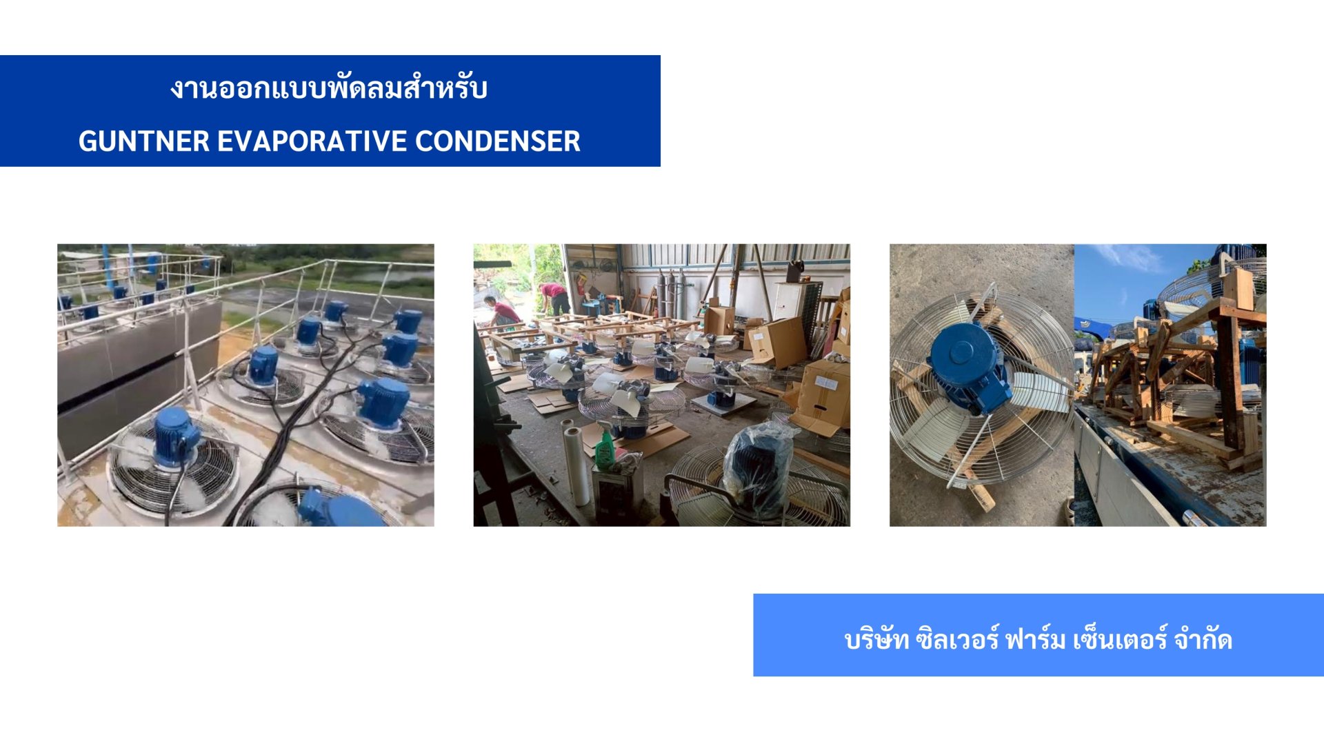 ผลงานของเรา