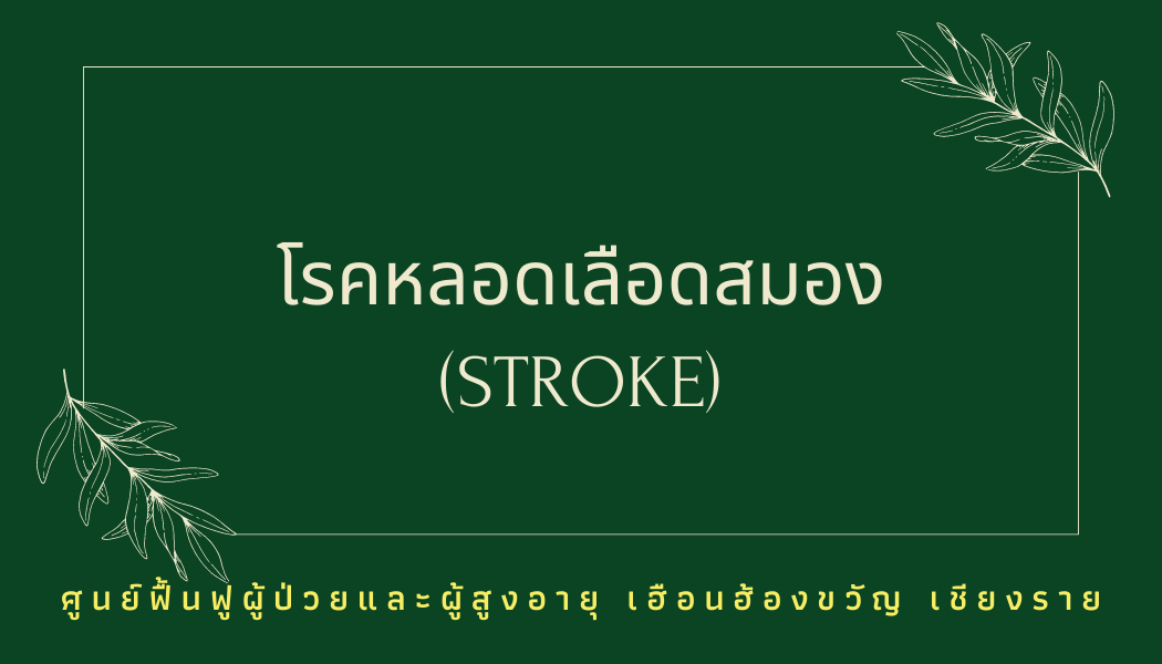 โรคหลอดเลือดสมอง (Stroke) บำบัดได้ด้วยเวชศาสตร์ฟื้นฟู+กายภาพ โรคหลอดเลือดสมอง (Stroke) บำบัดได้ด้วยเวชศาสตร์ฟื้นฟู+กายภาพ