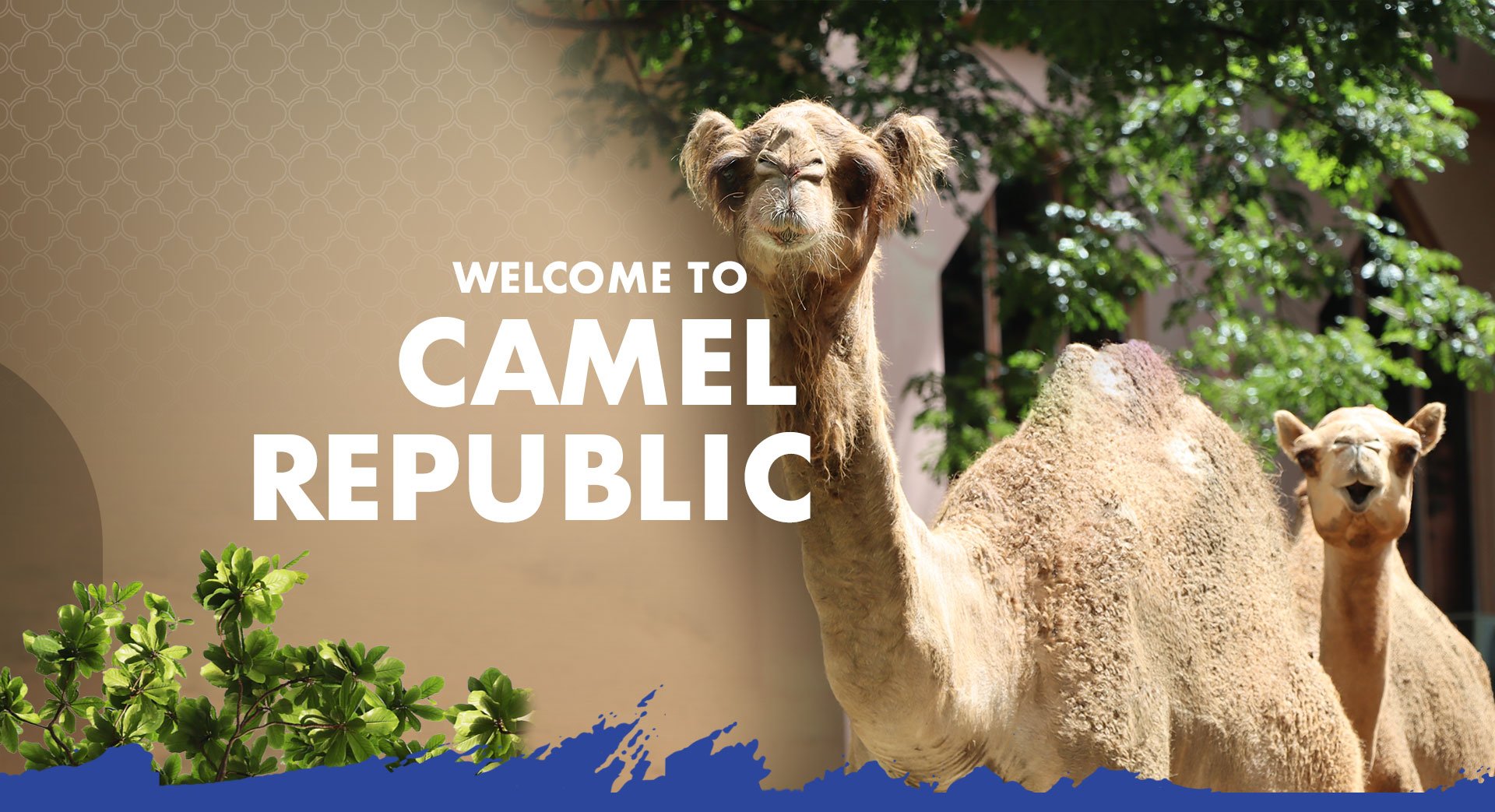 Camel Republic สวนสนุกและสวนสัตว์ชะอำ สไตล์โมร็อกโก