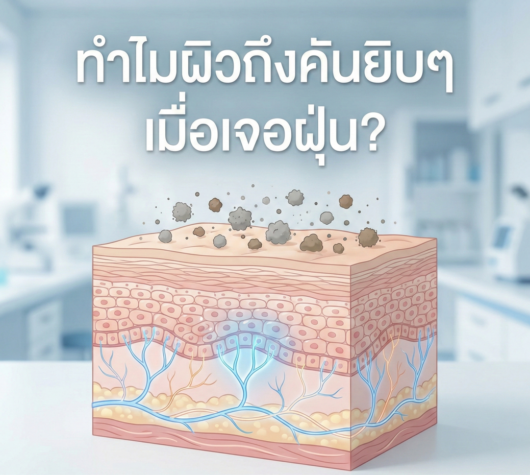 ทำไมผิวถึงคันยิบๆ เมื่อเจอฝุ่น? เจาะลึก SymSitive® สารหยุดสัญญาณแสบแดงที่ต้นตอเส้นประสาท