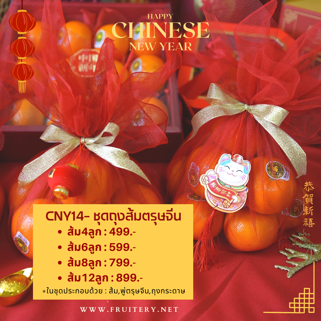 CNY-14 : ชุดถุงส้มเฮงเฮง (ส้ม8ลูก)